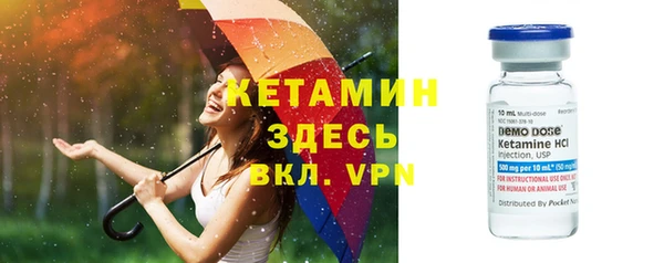 шишки Чита